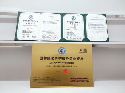上海市專業(yè)工商注冊與財稅服務(wù)全攻略